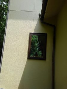 姫路市にて外壁塗装　完工２